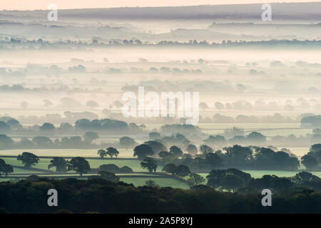 Marshwood, Dorset, UK. 22 octobre 2019. Météo britannique. Brume matinale jette à travers les domaines de l'Marshwood Vale dans le Dorset au lever du soleil. Crédit photo : Graham Hunt/Alamy Live News Banque D'Images