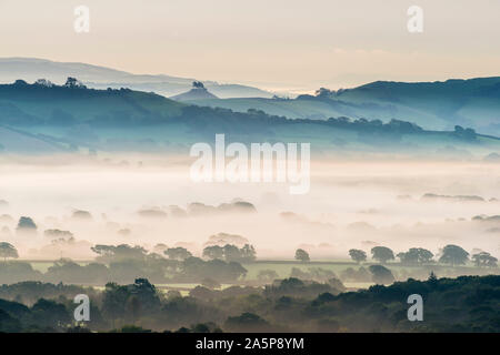 Marshwood, Dorset, UK. 22 octobre 2019. Météo britannique. Brume matinale jette à travers les domaines de l'Marshwood Vale dans le Dorset au lever du soleil à la colline vers Colmers. Crédit photo : Graham Hunt/Alamy Live News Banque D'Images