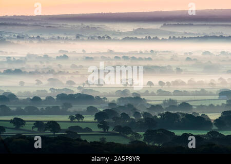 Marshwood, Dorset, UK. 22 octobre 2019. Météo britannique. Brume matinale jette à travers les domaines de l'Marshwood Vale dans le Dorset au lever du soleil. Crédit photo : Graham Hunt/Alamy Live News Banque D'Images