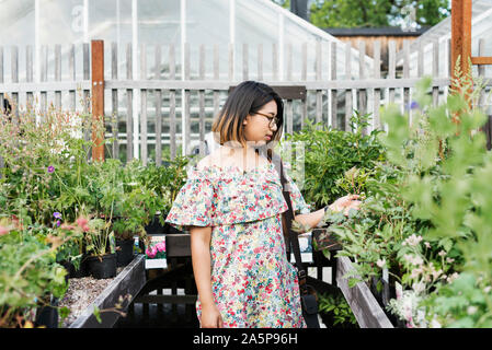 Femme choisissant flowers in garden center Banque D'Images