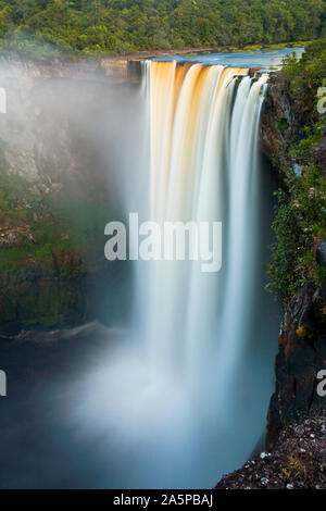 KAIETEUR FALLS, la deuxième plus haute chute d'eau chute unique en Amérique du Sud, la rivière Potaro, Guyana. Banque D'Images