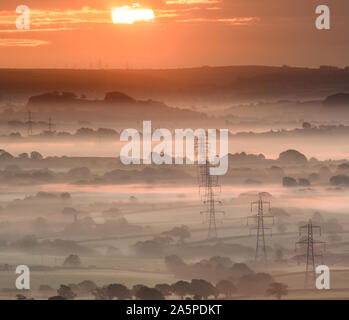 Vale Marshwood, Bridport, Dorset, UK. 22 octobre 2019. Météo France : Arbres et pylônes à émerger de la brume matinale de couches à Marshwood Vale, le froid d'un matin d'automne. Credit : Celia McMahon/Alamy Live News. Banque D'Images