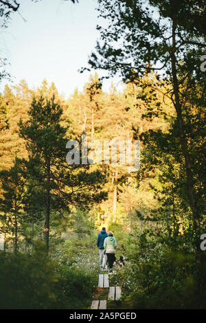 Couple en train de marcher à travers la forêt Banque D'Images