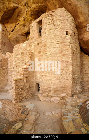 Structure à Cliff Palace, Mesa Verde National Park. Banque D'Images