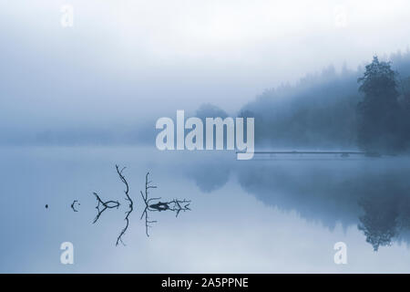 Lac dans le brouillard du matin Banque D'Images