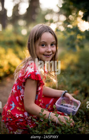 Girl picking blueberries Banque D'Images