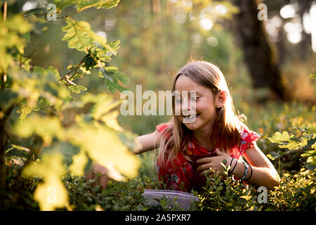 Girl picking blueberries Banque D'Images