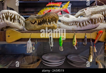 Les chefs d'alligator de reproduction sont affichés à l'abri de l'étain, le 6 octobre 2019, dans Apalachicola en Floride. Banque D'Images