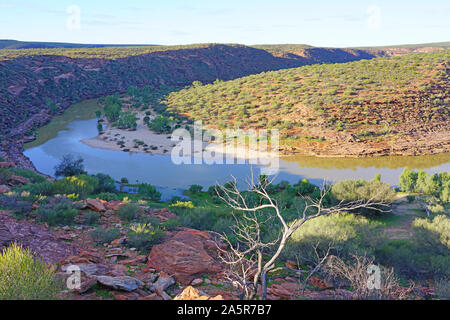 Vue de la Murchison River gorge dans le Parc National de Kalbarri dans le milieu de l'ouest de l'Australie-Occidentale en Australie. Banque D'Images