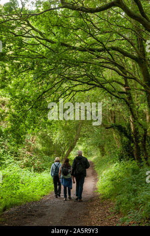 Trois randonneurs marchant le long de la voie de chemin de fer désaffectée Cuckoo Trail entre Horam et Heathfield, East Sussex, Angleterre. Banque D'Images