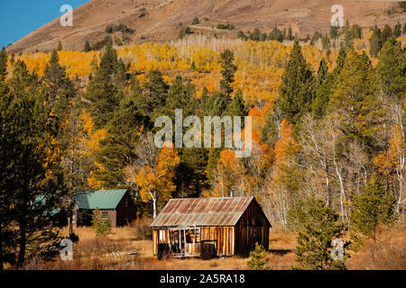 Pioneer cabin dans la Sierra Nevada à l'automne. California USA Banque D'Images