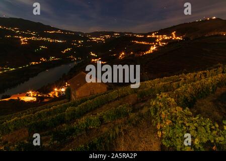 Nuit vue sur un vignoble le long du fleuve Douro. Banque D'Images