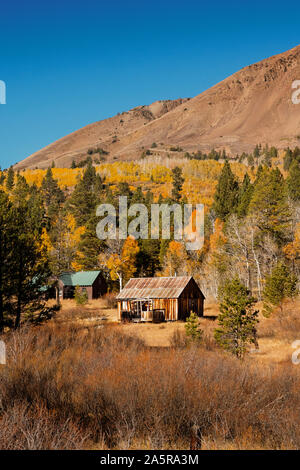 Pioneer cabin dans la Sierra Nevada à l'automne. California USA Banque D'Images