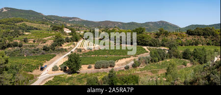 Les vignes et vignobles dans les Dentelles de Montmirail, en Provence, France. Banque D'Images