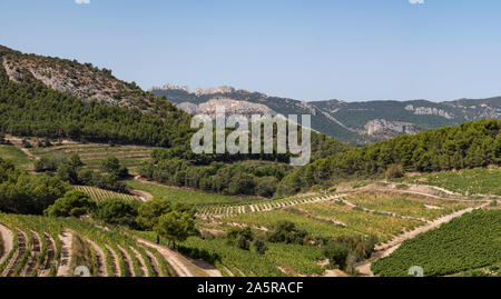 Les vignes et vignobles dans les Dentelles de Montmirail, en Provence, France. Banque D'Images