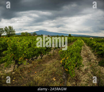 Jour de tempête sur le Mont Ventoux et les vignes de côte du Ventoux, Provence, France. Banque D'Images