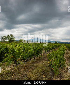 Jour de tempête sur le Mont Ventoux et les vignes de côte du Ventoux, Provence, France. Banque D'Images