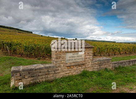 Domaine Vins Corton, Côte de Beaune, bourgogne, france. Banque D'Images