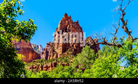 Pointe Jacob, un des trois pics dans la cour des Patriarches dans le parc national de Zion dans l'Utah, États-Unis Banque D'Images