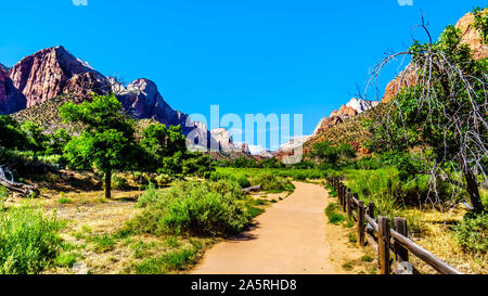 Montagnes à deux côtés de la Pa'rus Trail qui suit le long et au-dessus de la sinueuse rivière vierge dans le parc national de Zion dans l'Utah, USA Banque D'Images