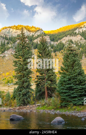 Scenic nature sauvage dans les montagnes du Colorado Banque D'Images