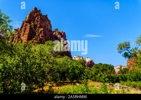 Pointe Jacob, un des trois pics dans la cour des Patriarches dans le parc national de Zion dans l'Utah, États-Unis Banque D'Images