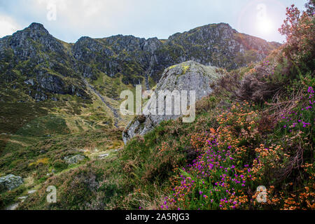 Paysage écossais de Heather colorés, de roches et de montagnes en Corrie Fee, Angus Glens, Highlands écossais Banque D'Images