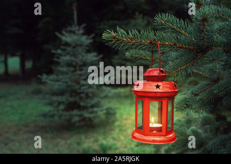 Lanterne Rouge de noël sur un sapin dans une forêt de pins de l'humeur de Noël Banque D'Images