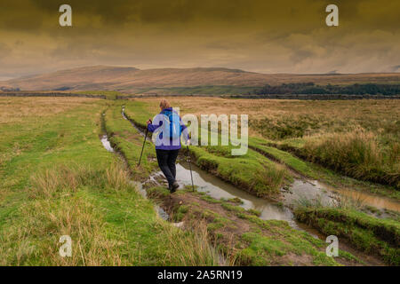 Kingsdale est sur le côté ouest de la Dales National Park et se trouve dans le Yorkshire du Nord et de la région de Cumbria. Cette Dale offre une vue magnifique de Whernside sur Banque D'Images