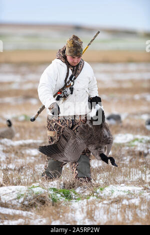 Un jeune chasseur d'oie avec des Oies Banque D'Images