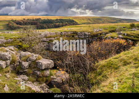 Kingsdale est sur le côté ouest de la Dales National Park et se trouve dans le Yorkshire du Nord et de la région de Cumbria. Cette Dale offre une vue magnifique de Whernside sur Banque D'Images