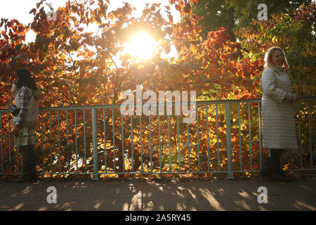 Couleurs automnales sur l'affichage à St James's Park, Londres. Banque D'Images