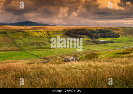 Kingsdale est sur le côté ouest de la Dales National Park et se trouve dans le Yorkshire du Nord et de la région de Cumbria. Cette Dale offre une vue magnifique de Whernside sur Banque D'Images