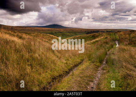 Kingsdale est sur le côté ouest de la Dales National Park et se trouve dans le Yorkshire du Nord et de la région de Cumbria. Cette Dale offre une vue magnifique de Whernside sur Banque D'Images