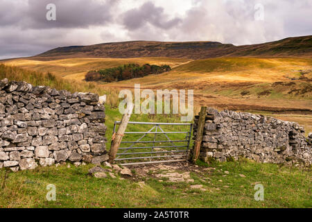 Kingsdale est sur le côté ouest de la Dales National Park et se trouve dans le Yorkshire du Nord et de la région de Cumbria. Cette Dale offre une vue magnifique de Whernside sur Banque D'Images