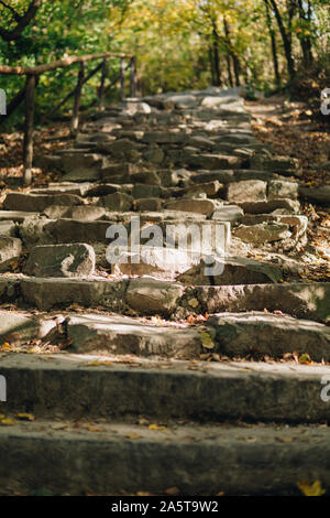 Vieux escaliers en pierre fabriqués à partir de l'intérieur d'une forêt en automne Banque D'Images