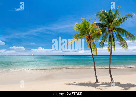 Plage tropicale avec palmiers et la mer turquoise en île des Caraïbes. Banque D'Images