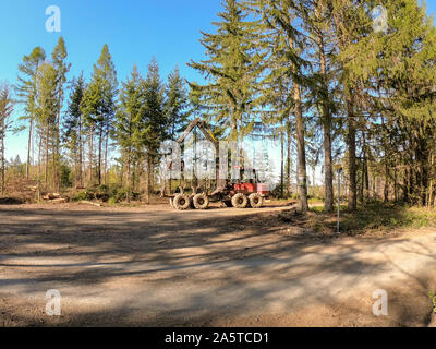 Le travail du bois dans la forêt. entretien des arbres tombés après un fort vent. technique lourde travaillant dans la forêt l'industrie forestière. Banque D'Images