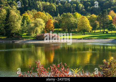 Herbst am Eiserbachsee suis Rurstausee in der Eifel, Nordrhein-Westfalen, Deutschland | L'automne au lac de Eiserbachsee près du réservoir de la Rur, Rhi Nord Banque D'Images