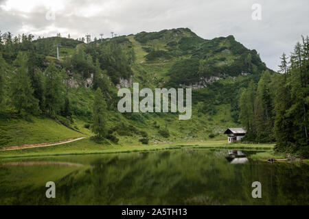 Paysage de montagne dans les Alpes. pour la détente et le tourisme avec la possibilité de voir des vaches dans les prés Banque D'Images