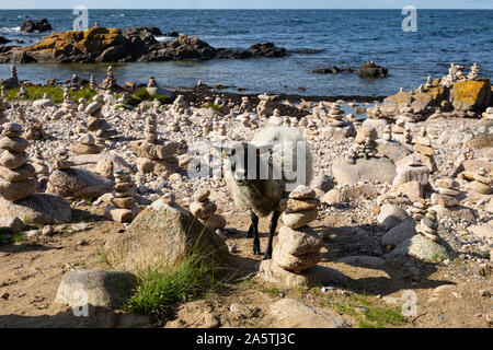 Steintürmchenstrand, côte de Mer, côte rocheuse unique sur l'île de Bornholm Banque D'Images