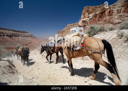 Chevaux transportant des fournitures à pied un sentier poussiéreux dans un paysage accidenté Banque D'Images