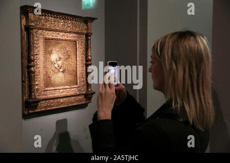 L'EXPOSITION LÉONARD DE VINCI DU LOUVRE PARIS Banque D'Images