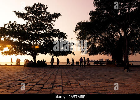 Kochi, Inde - 9 novembre 2017 : Boulevard d'arbres immenses et de gens assis sur des bancs pendant le coucher du soleil de couleur orange Banque D'Images