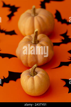 Pumpkins sur table orange. Vertical avec des citrouilles Halloween fond noir et les chauves-souris. Banque D'Images