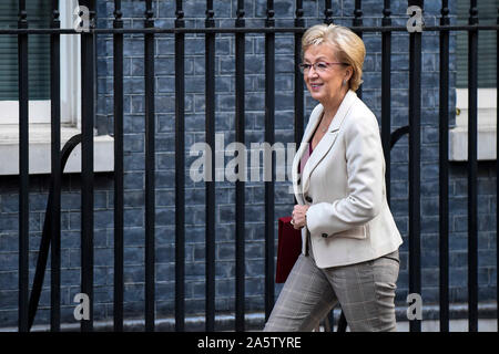 (191022) -- Londres, 22 octobre 2019 (Xinhua) -- La secrétaire d'Andrea Leadsom arrive pour une réunion du Cabinet, au 10 Downing Street à Londres, Grande-Bretagne, le 22 octobre, 2019. Le Premier ministre britannique, Boris Johnson, le mardi a été rejeté lors d'un vote sur son Brexit calendrier prévoyant son gouvernement pourrait pousser à une élection générale. (Photo par Stephen Chung/Xinhua) Banque D'Images