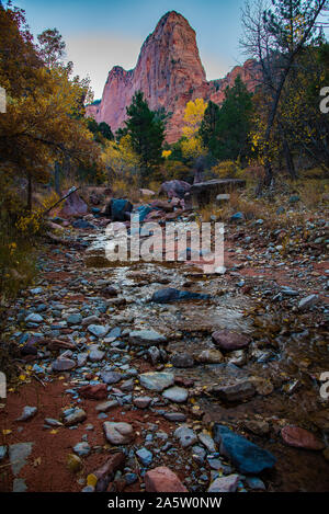 Taylor Creek Trail en automne. Taylor Creek est situé dans une partie moins connue de Zions National Park entre Cedar City, et de Saint George, Utah, USA. Banque D'Images