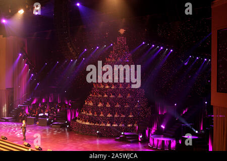 L'arbre de Noël vivant au cours de Virginia show spectaculaire à TRBC à Lynchburg, VA, USA. Banque D'Images