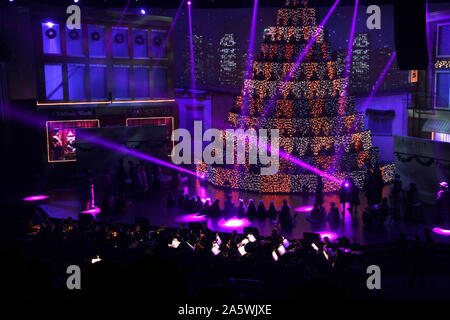 L'arbre de Noël vivant au cours de Virginia show spectaculaire à TRBC à Lynchburg, VA, USA. Banque D'Images