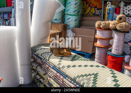 Un chat tigré dort sur un tapis en tissu à l'extérieur et tissu fabricant dans l'bazar d'Eminonu Domaine du quartier Sultanahmet. Banque D'Images